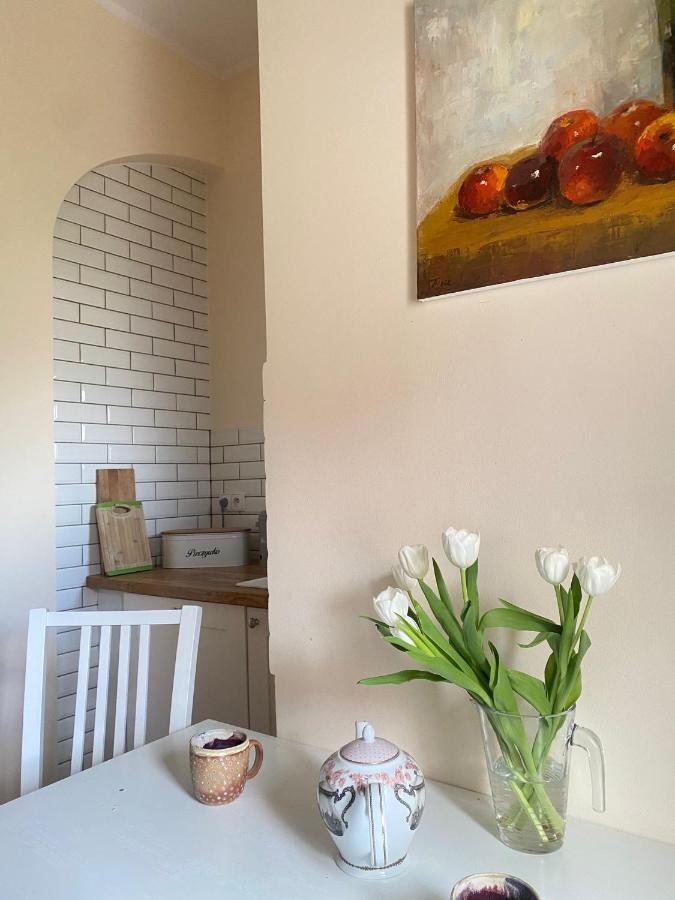 Nad Mlynowka Apartman Opole Kültér fotó