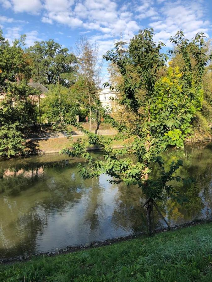 Nad Mlynowka Apartman Opole Kültér fotó